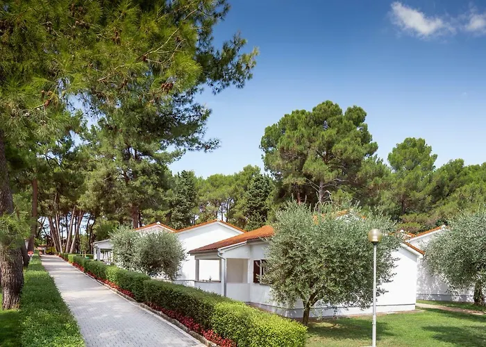 Apartments Galijot Plava Laguna
