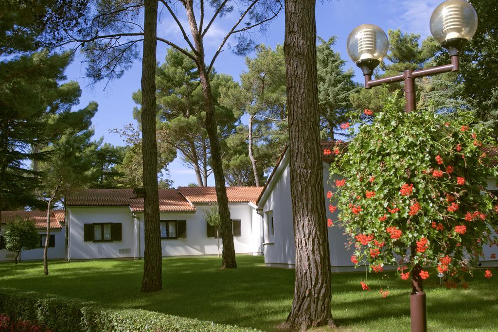 Apartment Galijot Plava Laguna